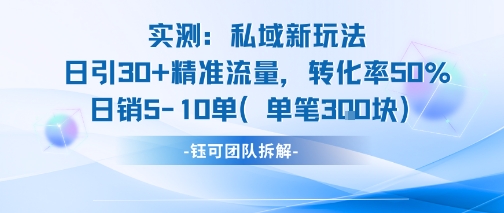 实测私域新玩法日引30加精准流量转化率50%日销5-10单每笔3张-优优云网创