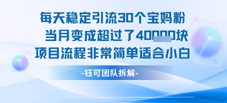 每天稳定引流30个人 当月变成超过了4个W项目流程非常简单适合小白-优优云网创