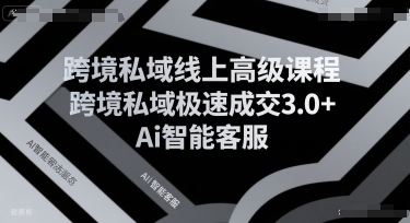 跨境私域线上高级课程,跨境私域极速成交3.0+Ai智能客服-优优云网创