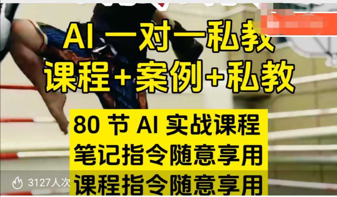 AI指令实战课,课程+案例,80节AI实战课程,笔记指令随意享用,课程指令随意享用(更新7月)-优优云网创