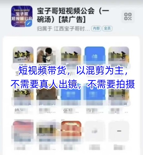 宝子哥头部团队短视频带货，以混剪为主，不需要真人出镜，不需要拍摄【更新6月】-优优云网创